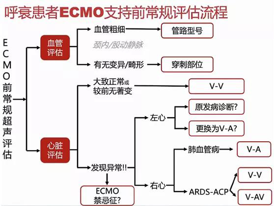 ECMO（专题三）(图1)